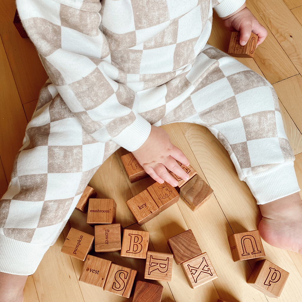 Imperfect Picture Alphabet Blocks