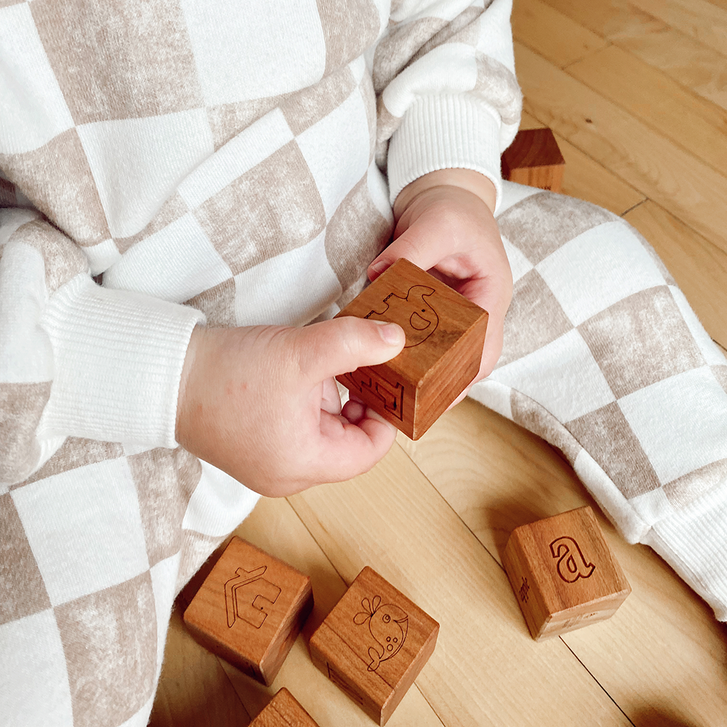 Imperfect Picture Alphabet Blocks