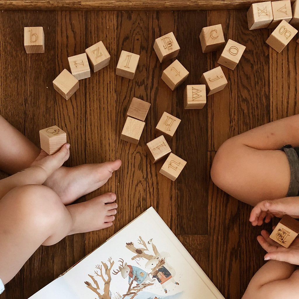 animal alphabet blocks wooden alphabet blocks new baby gift