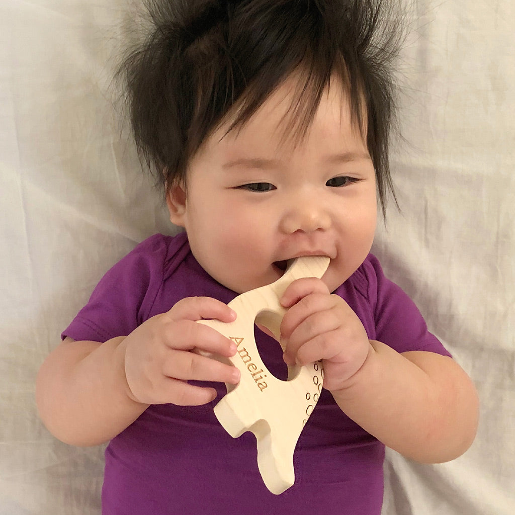 dinosaur wood teethers for baby natural teething pain relief